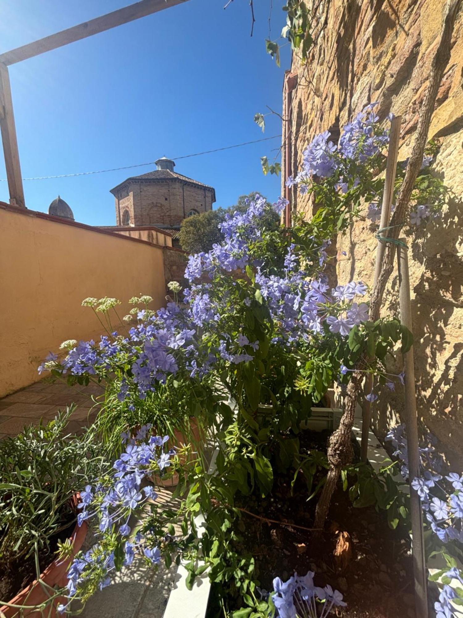 Domus Mirabilis Homestay Ancona Exterior foto